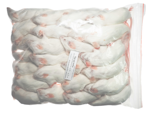 Mysz  25-30g   (25szt/opak)